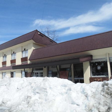 Lodge Villa Happo Hakuba Exteriör bild
